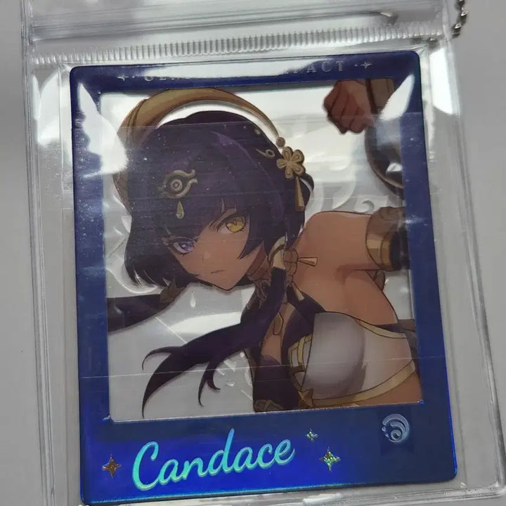 [BUNJANG] Genshin Impact Sumeru Candice Polaroid / 캔디스  - 원신 카페 수메르 폴라로이드 투명 파우치