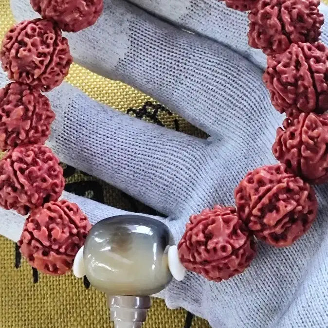 [SOLD OUT] 네팔 금강보리 대자 루드라크샤 팔찌 20mm
