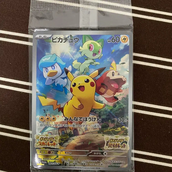 [BUNJANG] Pokemon Pichu Japanese Version Sealed / [일판] 포켓몬 스바츄 프로모 일판(미개봉)