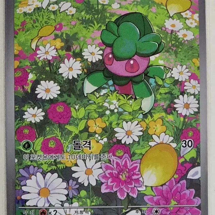 [SOLD OUT] 포켓몬카드 어비스아이 짜랑랑 AR