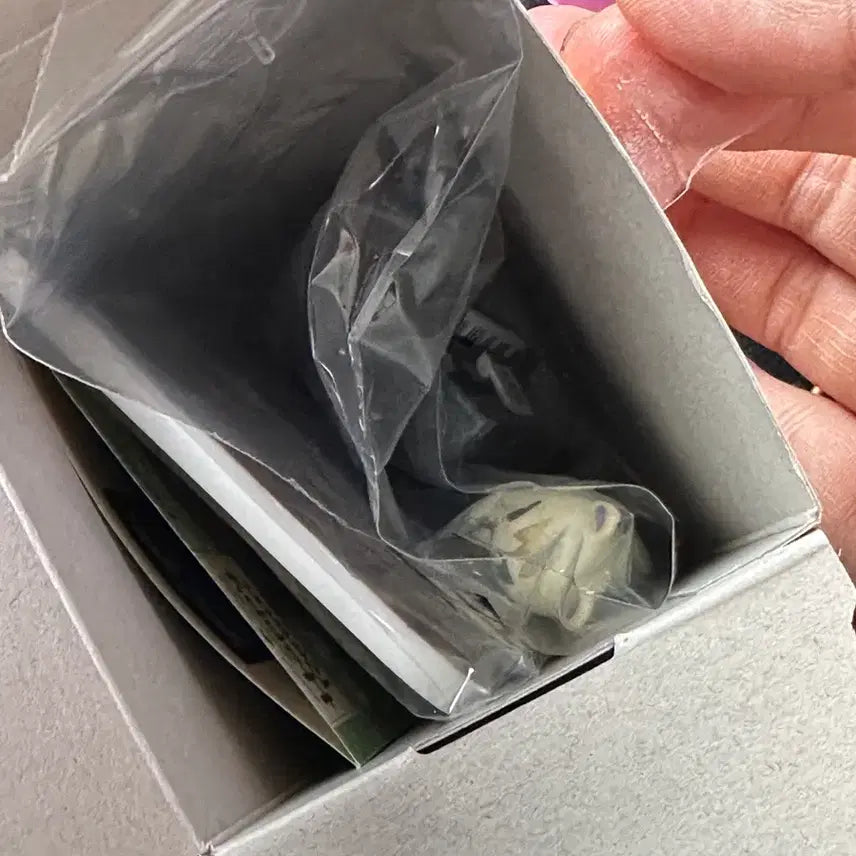 [SOLD OUT] 동숲 리멘트 쭈니