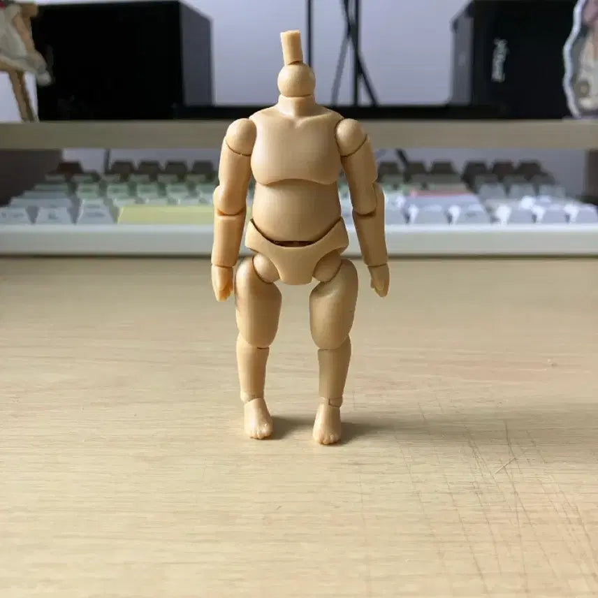 [SOLD OUT] 넨도로이드돌 시나몬 색상 바디