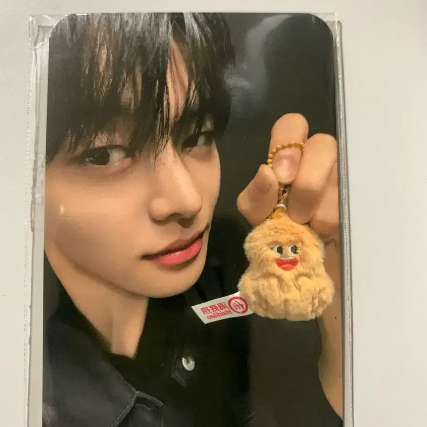 [BUNJANG] AldiWon Haidilao Leo Photocard / 알디원 하이디라오 리오