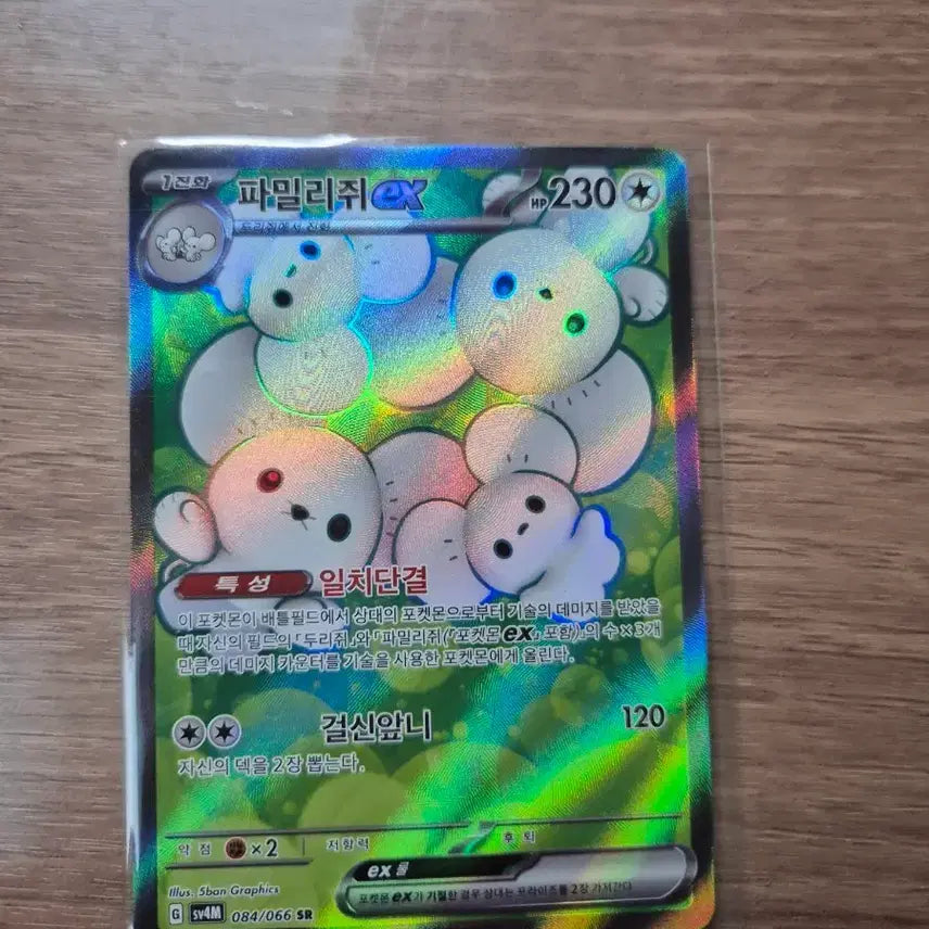 [SOLD OUT] 파밀리쥐 EX sr