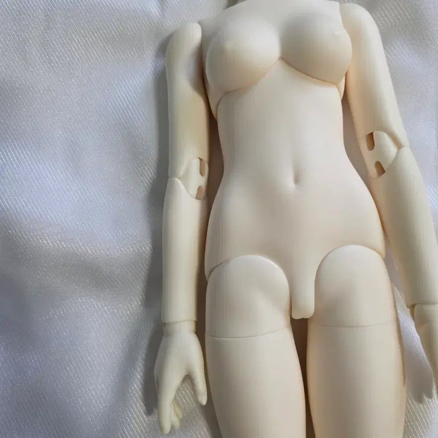 [SOLD OUT] msd 루츠 키드델프 여아 러블리바디 판매합니다!