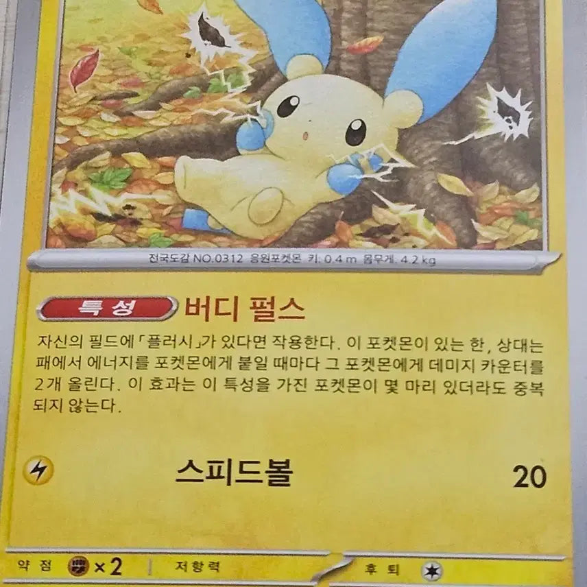 [BUNJANG] Pokemon Card Minong / 포켓몬카드 마이농