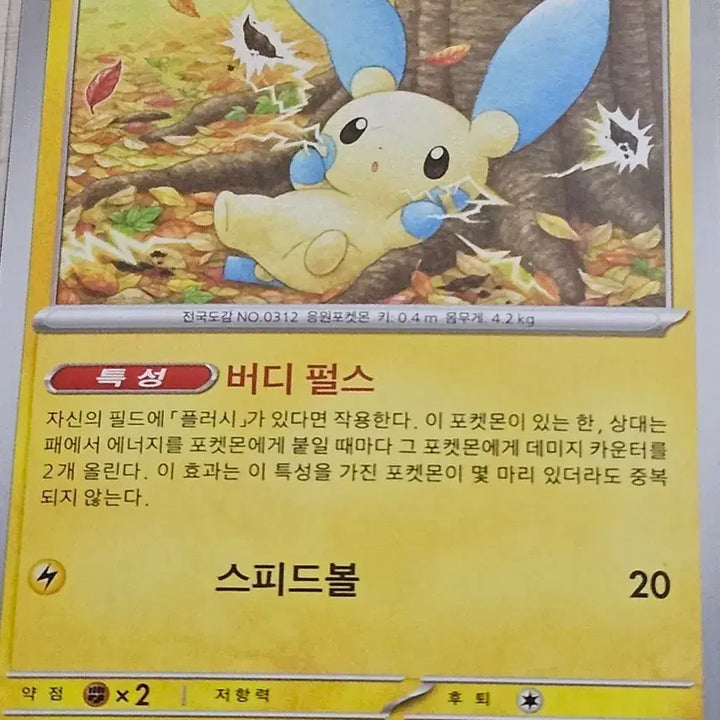 [BUNJANG] Pokemon Card Minong / 포켓몬카드 마이농