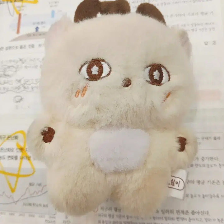 [BUNJANG] Park Jihoon Sosimi Doll / 박지훈 소심이 인형