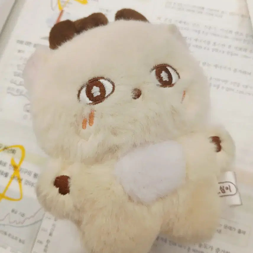 [BUNJANG] Park Jihoon Sosimi Doll / 박지훈 소심이 인형