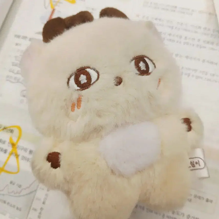 [BUNJANG] Park Jihoon Sosimi Doll / 박지훈 소심이 인형