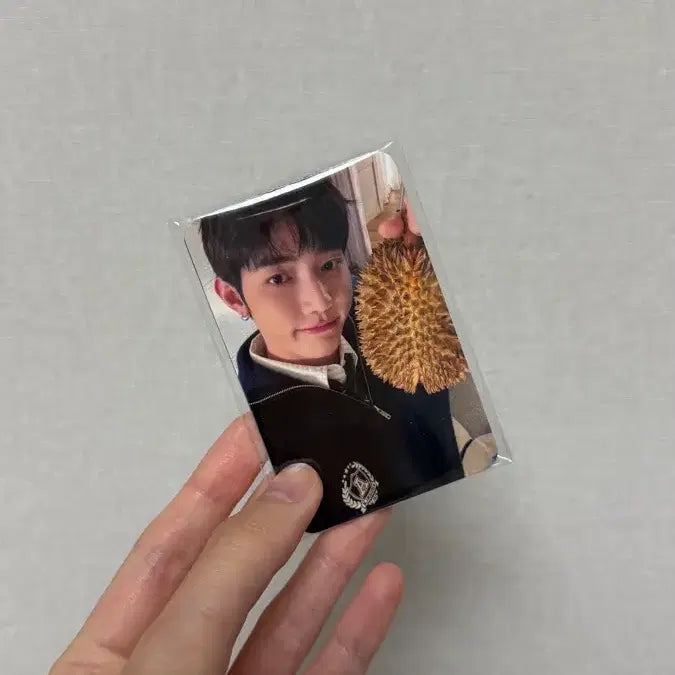 [SOLD OUT] 앤더블 쇼콘 퇴장포카 미개봉 풀세트 양도