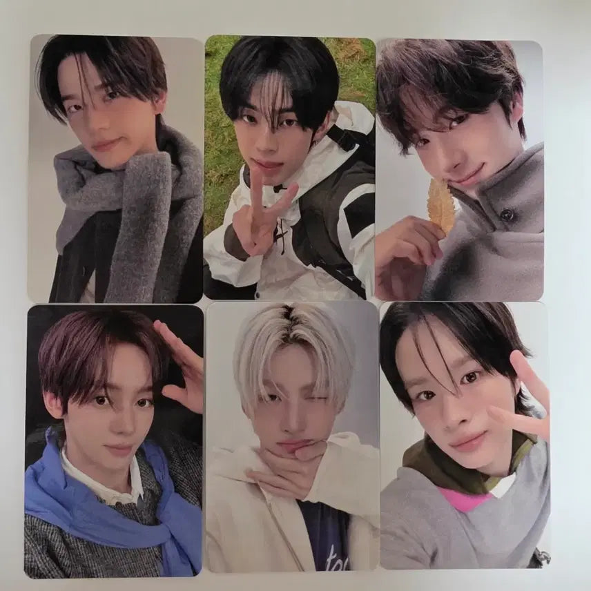 [BUNJANG] BITROD Tourus POB Set / 비트로드 투어스 미공포 세트