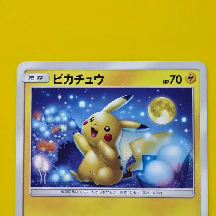 [BUNJANG] Pokemon Card Moon Gazing Pikachu Japanese Version / 포켓몬카드 달구경피카츄 일본판