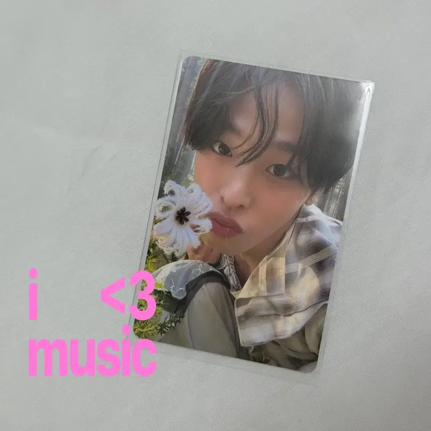 [BUNJANG] NCT WISH Riku Vixx Mini Photocard / 엔시티위시 리쿠 빅스미니 포카 양도
