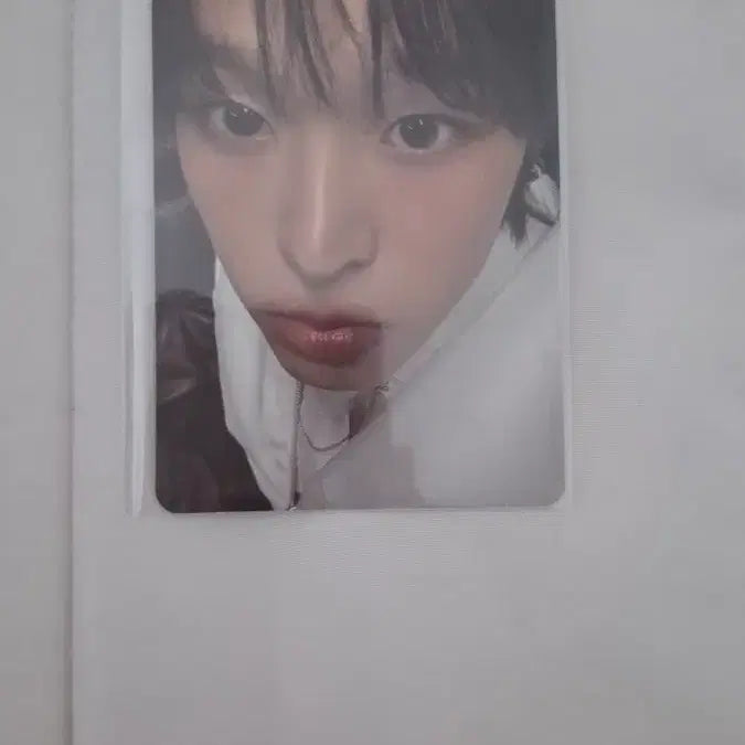 [BUNJANG] NCT WISH Riku Wishini ni Kuri Cushion Photocard / 엔시티위시 리쿠 위시니니 쿠리 쿠션 포카