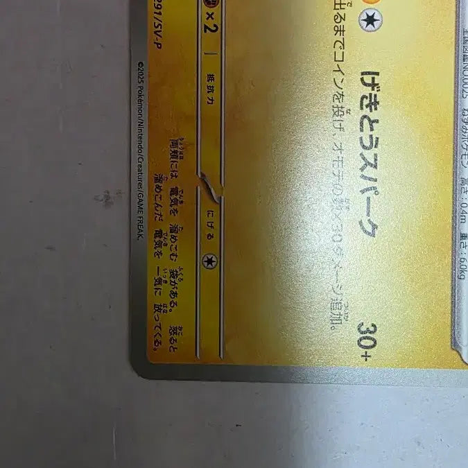 [BUNJANG] Pokemon Card Pikachu 291/SV-P Promo Japanese Edition / 포켓몬카드 피카츄 291/SV-P 프로모 일판