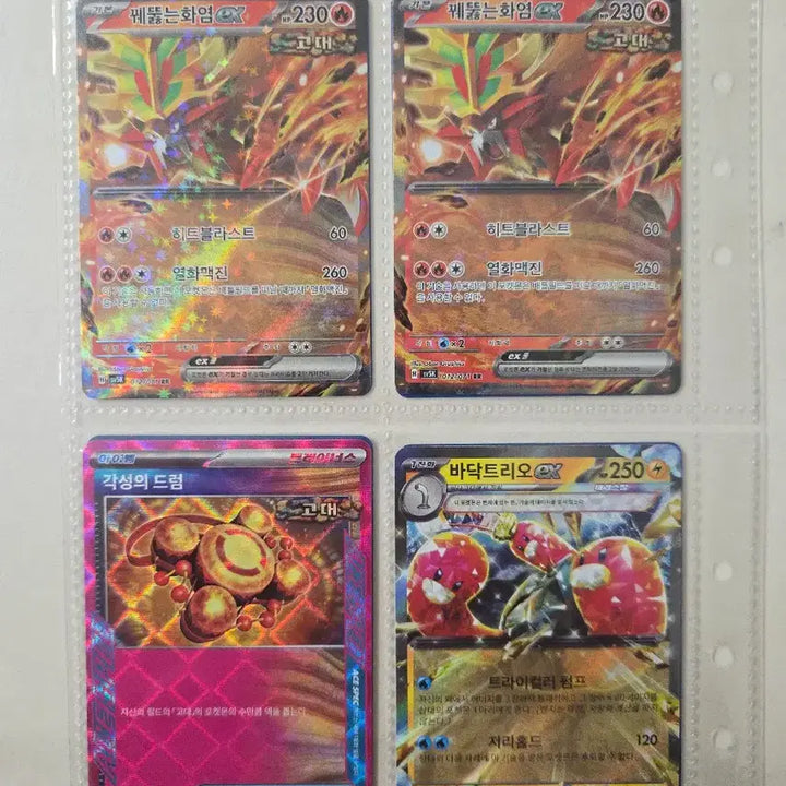 [SOLD OUT] 와일드포스 카드세트