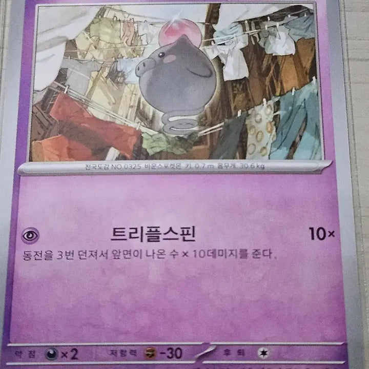 [SOLD OUT] 포켓몬카드 피그점프