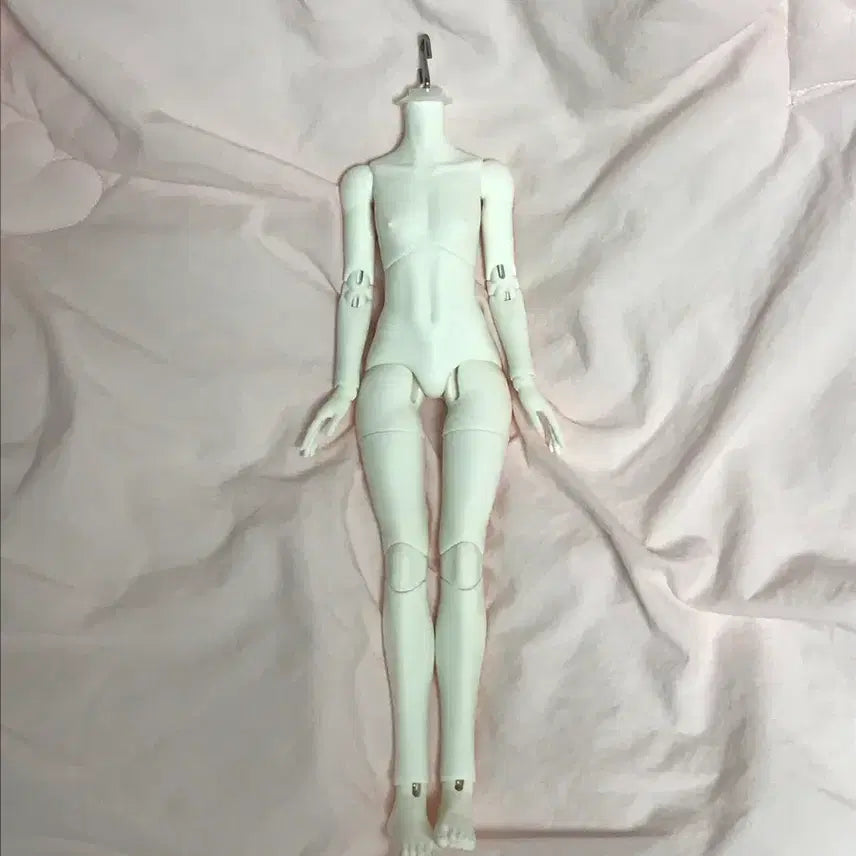 [BUNJANG] 1/6 Scale 26cm White Body Doll / 구체관절 타오바오 중브 미백 바디 1/6