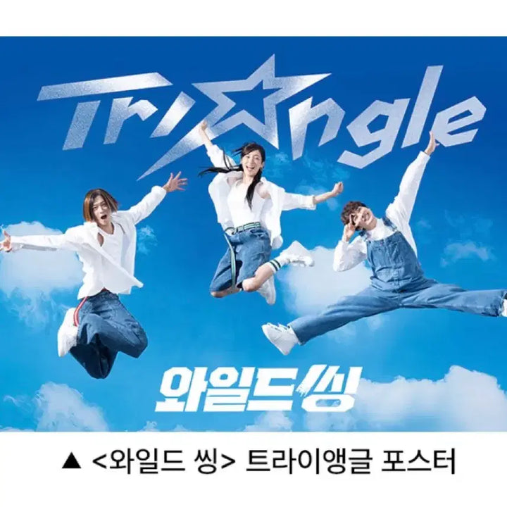 [SOLD OUT] 와일드씽 트라이앵글 포스터