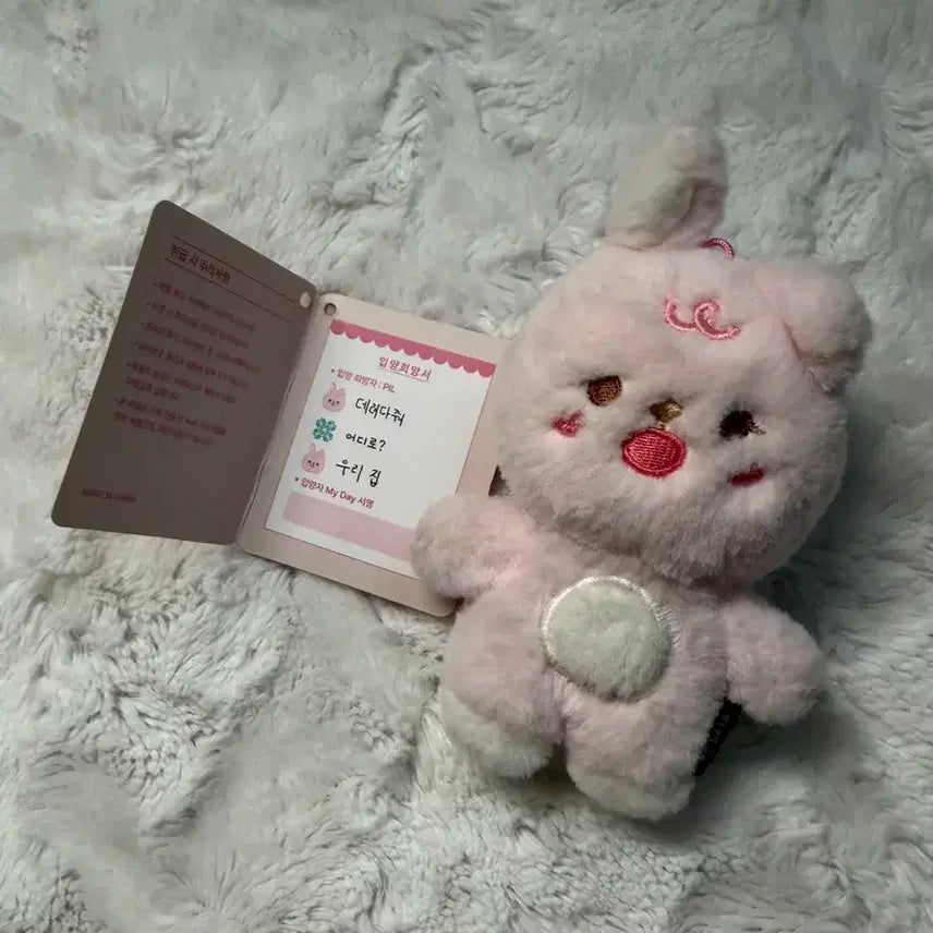 [BUNJANG] DAY6 Young K Petit Muels 10cm Plush Doll / 데이식스 원필 쁘띠멀즈 10cm 인형