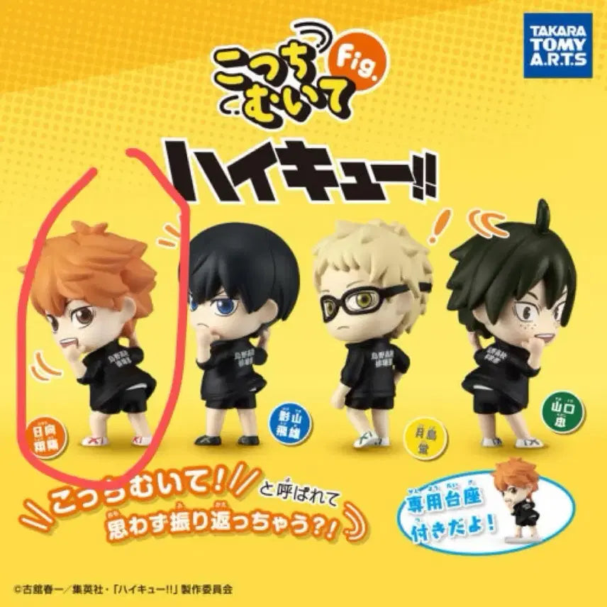 [BUNJANG] Haikyu!! Shoyo Hinata &