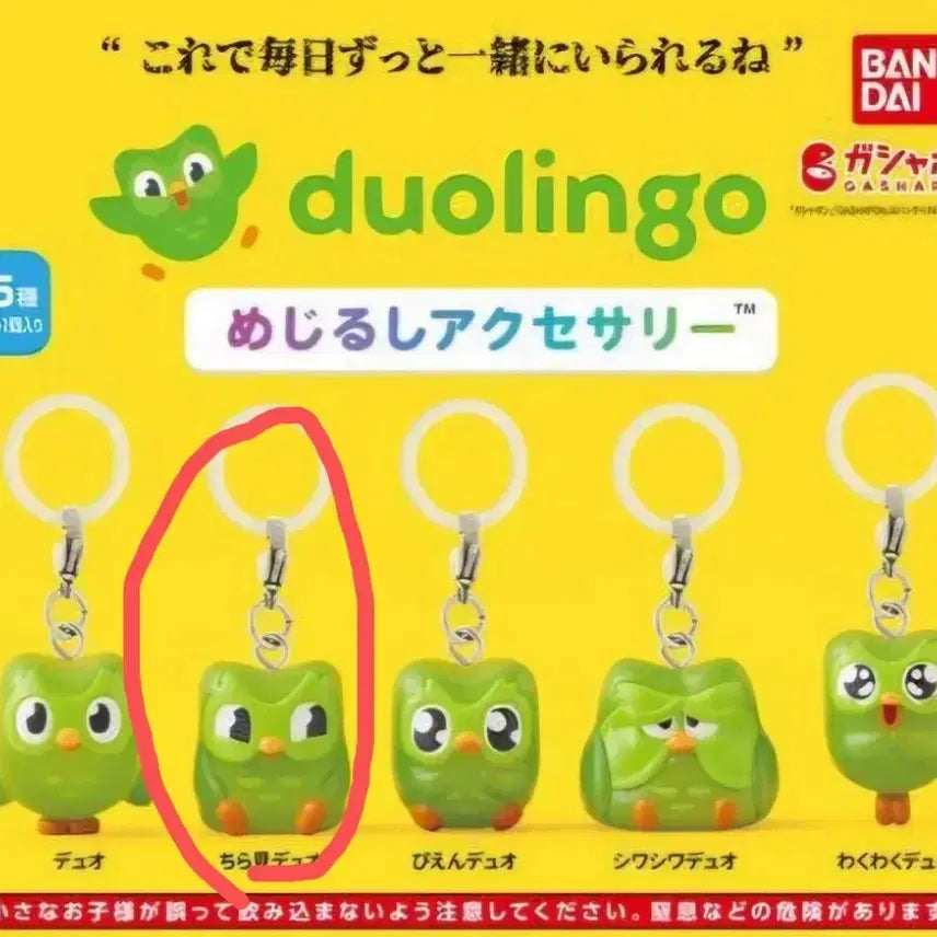 [BUNJANG] Bandai Duolingo Gacha / 반다이 듀오링고 가챠