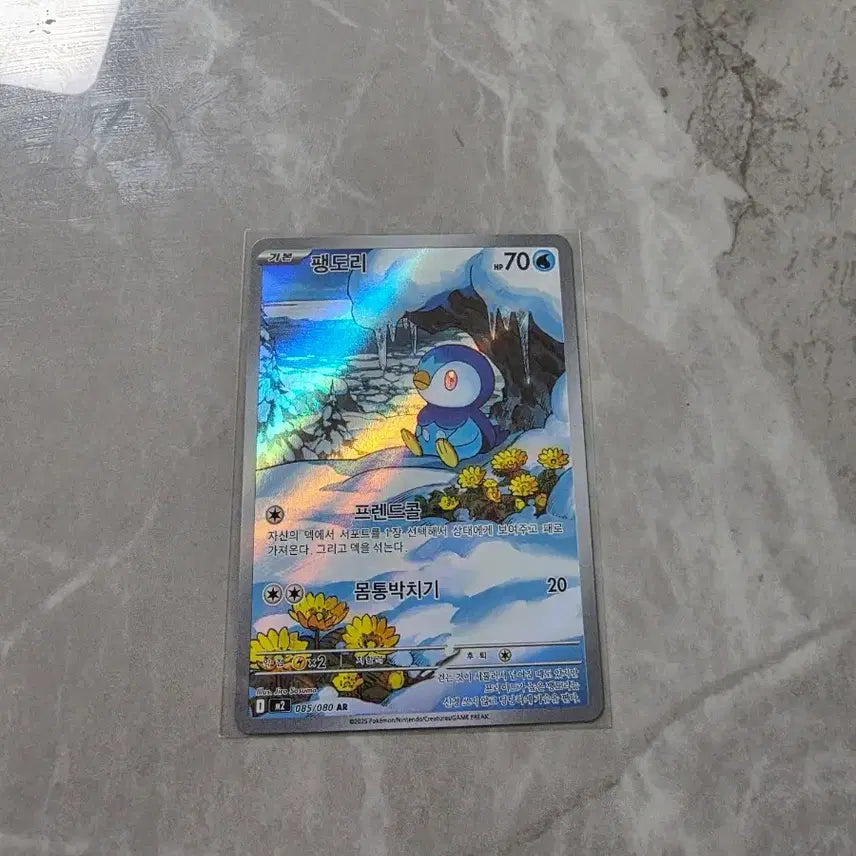 [SOLD OUT] 포켓몬카드 팽도리 ar