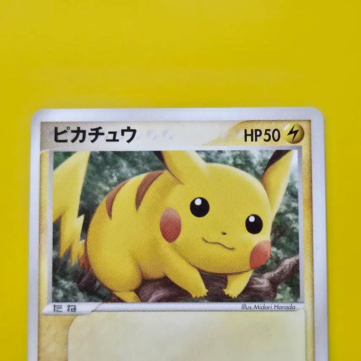 [BUNJANG] Pokemon Card 2004 Pikachu Ancient Roar Japanese Version / 포켓몬카드 2004 피카츄 전설의비상 고대카드 일본판