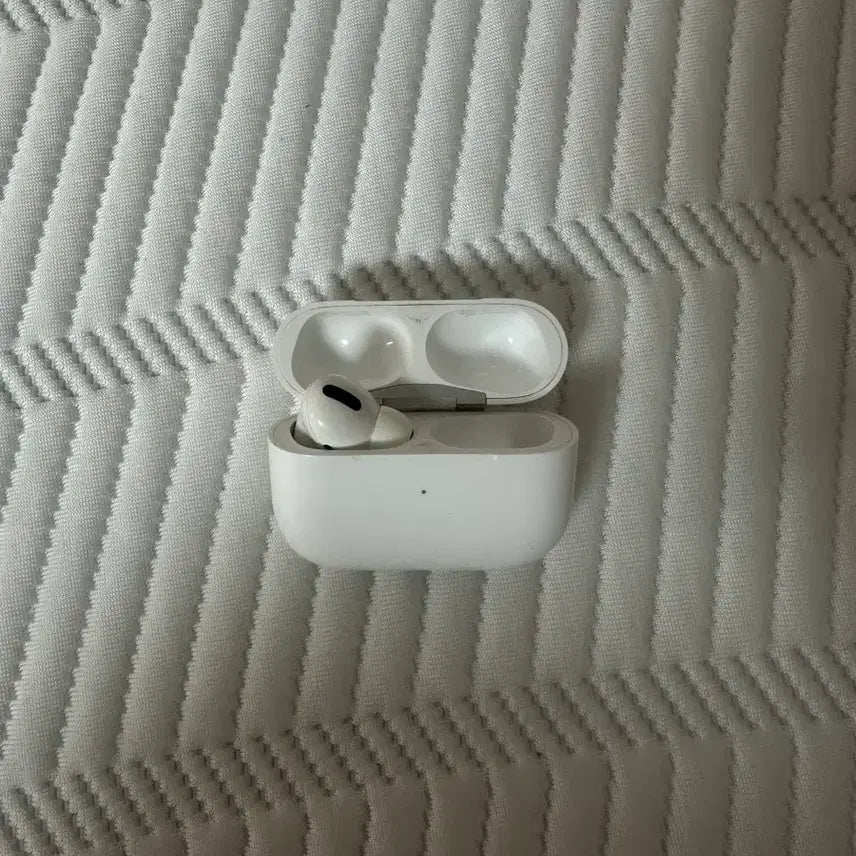 [BUNJANG] Apple AirPods Pro 1st Generation / 에어팟 프로1세대