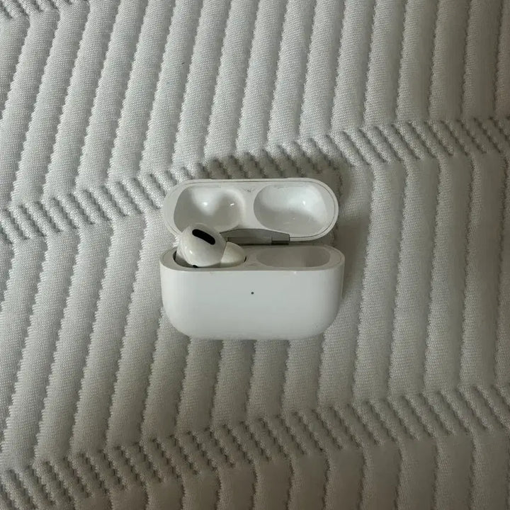 [BUNJANG] Apple AirPods Pro 1st Generation / 에어팟 프로1세대