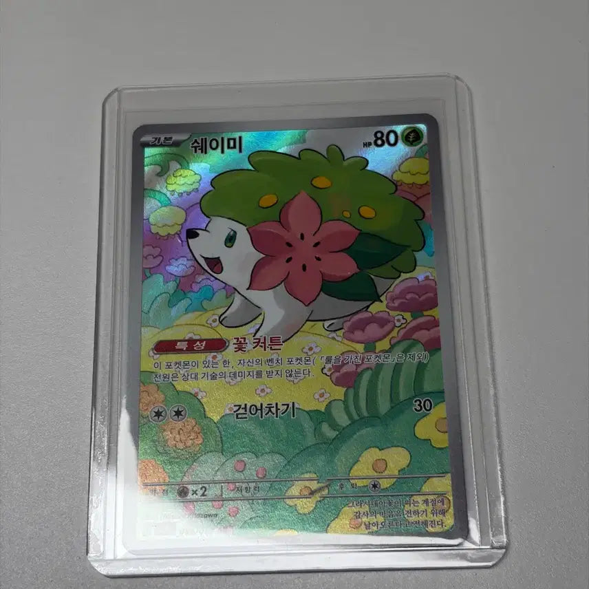 [SOLD OUT] 포켓몬 카드 쉐이미