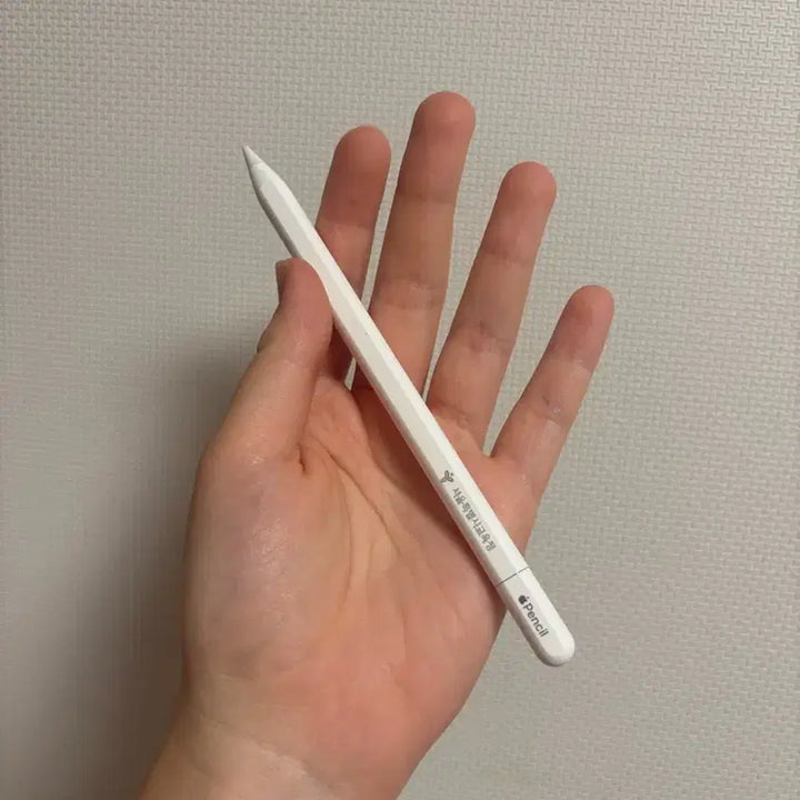 [BUNJANG] Apple Pencil USB-C / 애플 펜슬 usb-c 타입