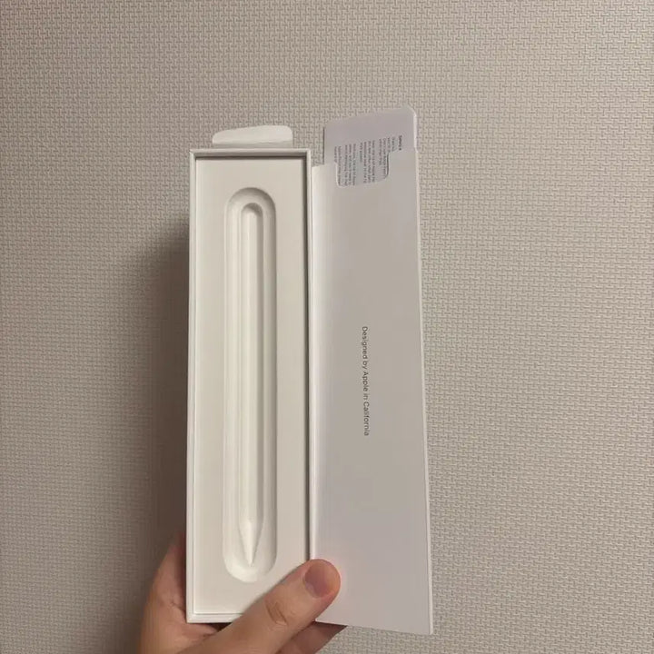 [BUNJANG] Apple Pencil USB-C / 애플 펜슬 usb-c 타입
