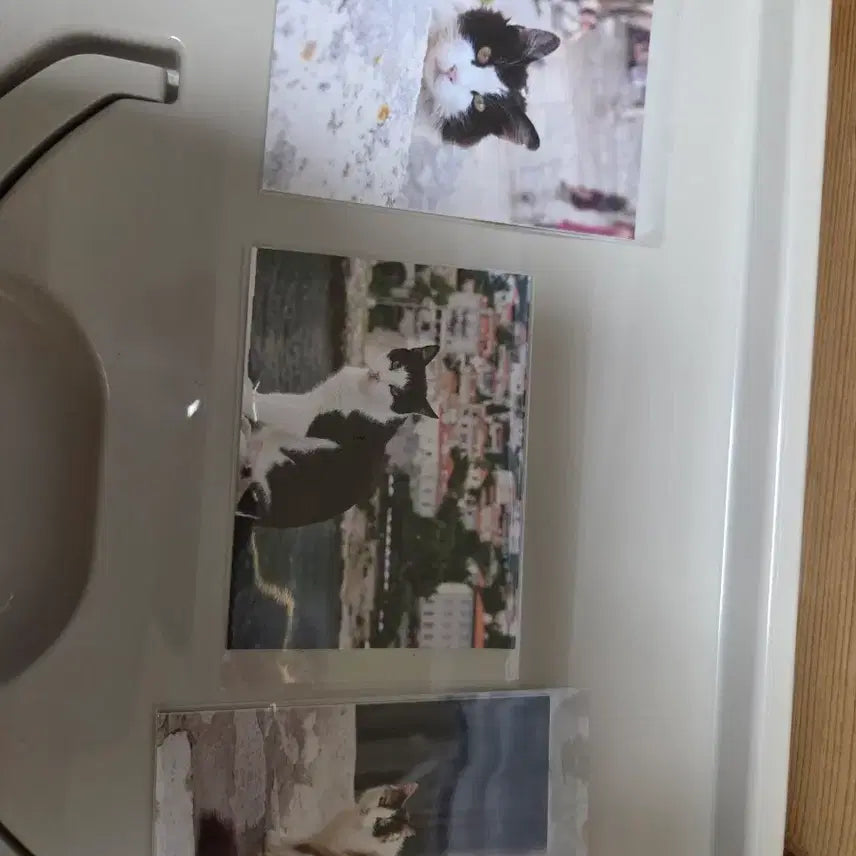 [BUNJANG] Ghibli Cat Mini Postcard, Cat Sticker, Oshi no Ko Keychain, Badge / 지브리,고양이 미니 엽서,고양이 스티커,최애의 아이 키링,뱃지