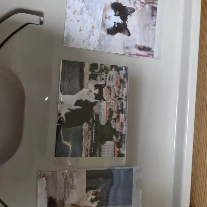 [BUNJANG] Ghibli Cat Mini Postcard, Cat Sticker, Oshi no Ko Keychain, Badge / 지브리,고양이 미니 엽서,고양이 스티커,최애의 아이 키링,뱃지