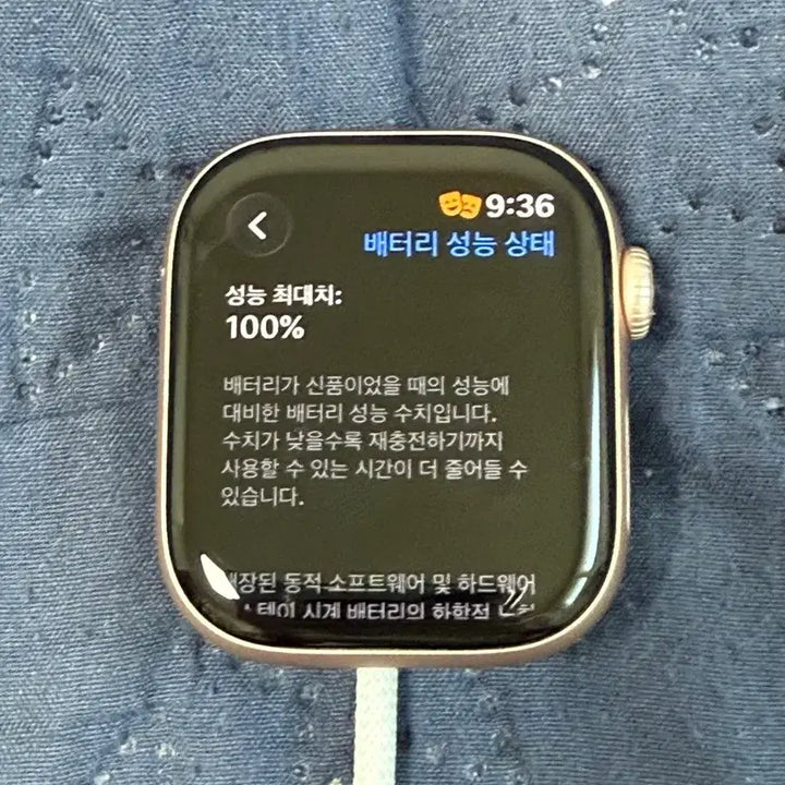 [BUNJANG] Apple Watch Series 11 Rose Gold 42mm / 애플워치 11 로즈골드 42mm 배터리 100 (마지막가격)