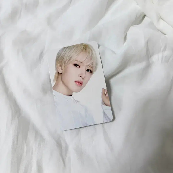 [BUNJANG] NCT Wish Sakuya 10th Anniversary Popup Entry Photocard / Nct 엔시티 10주년 팝업 엔시티위시 사쿠야 입장포카 양도 판매
