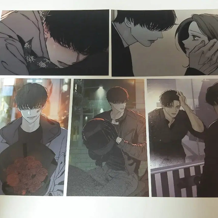 [BUNJANG] Sikreun Kkoce Nunmureul Beamtaeha Postcard Set (5 Types) / 시든 꽃에 눈물을 범태하 엽서 5종