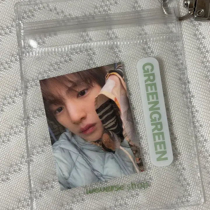 [BUNJANG] Cortis Joohoon Green Photocard / 코르티스 주훈 그린그린 포카 양도