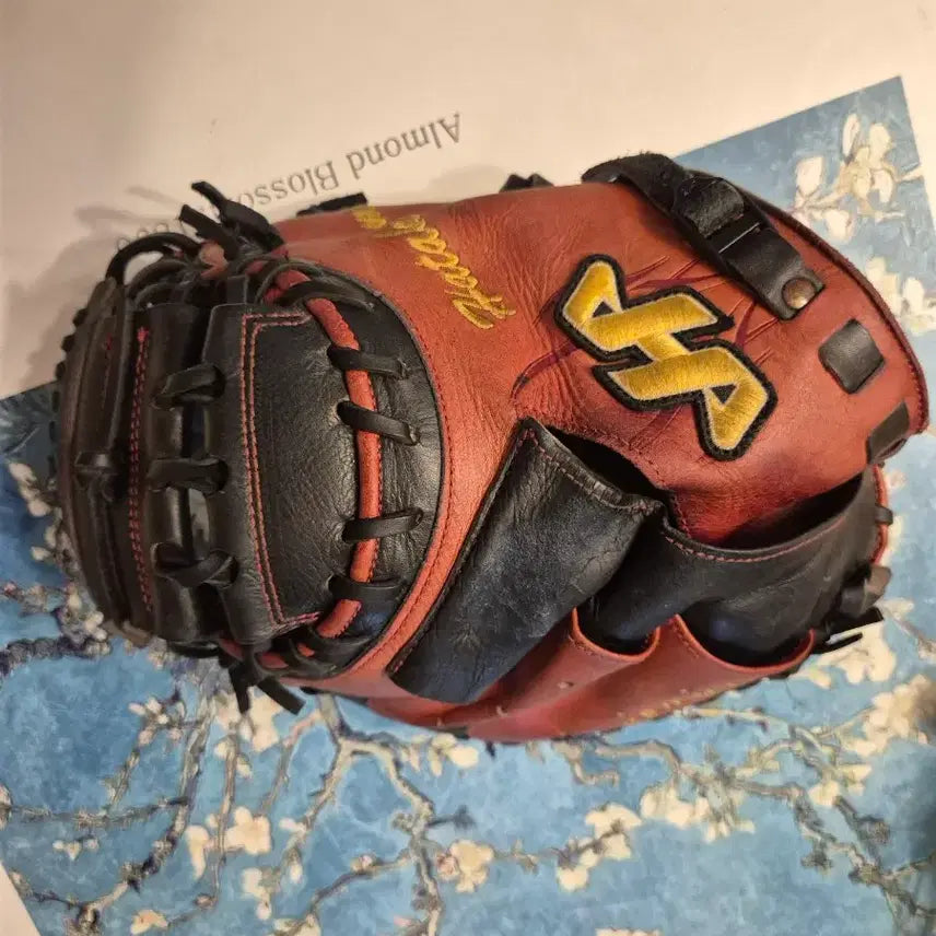 [BUNJANG] Hatakeyama M8 Grade 1 Catcher&