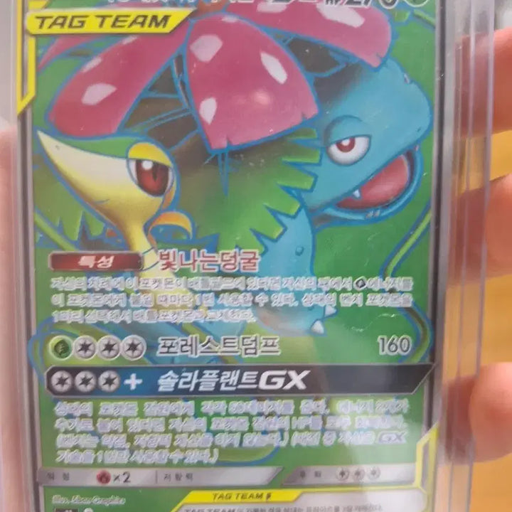 [SOLD OUT] 이상해꽃&amp;주리비얀 GX 태그팀 sr