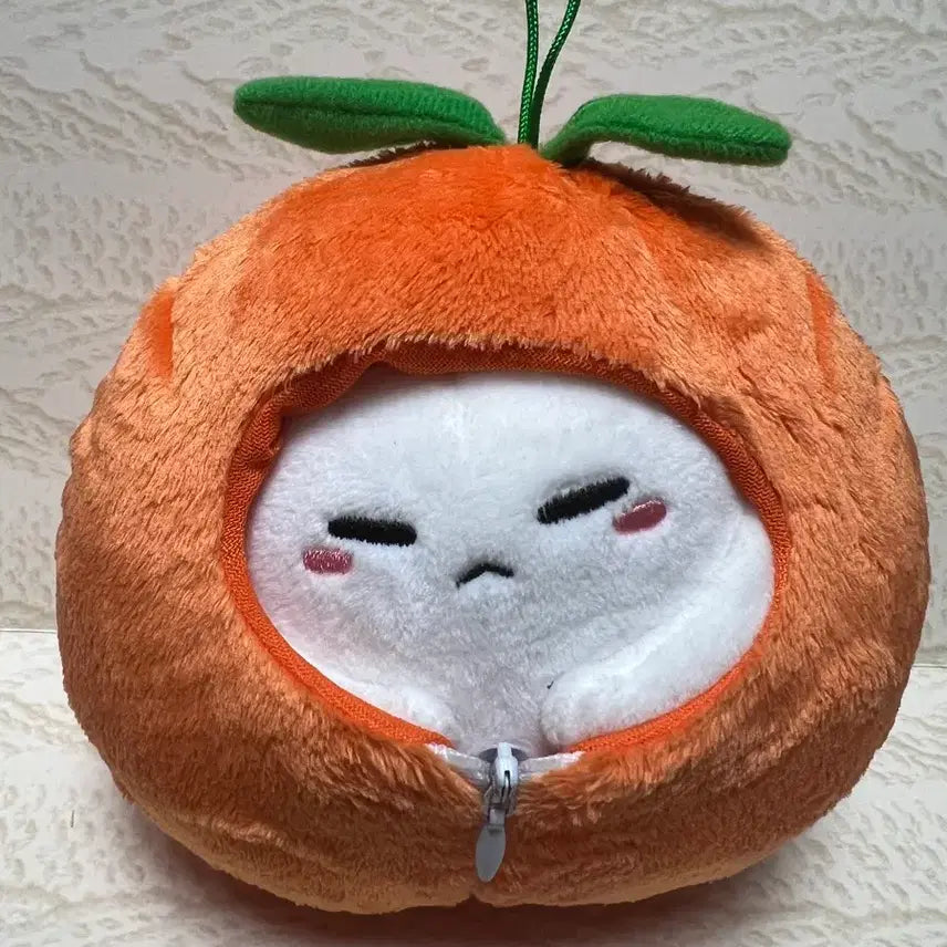 [BUNJANG] BTS SUGA Min Yoongi Tangerine Cat Plush / BTS SUGA 슈가 민윤기 귤냥이