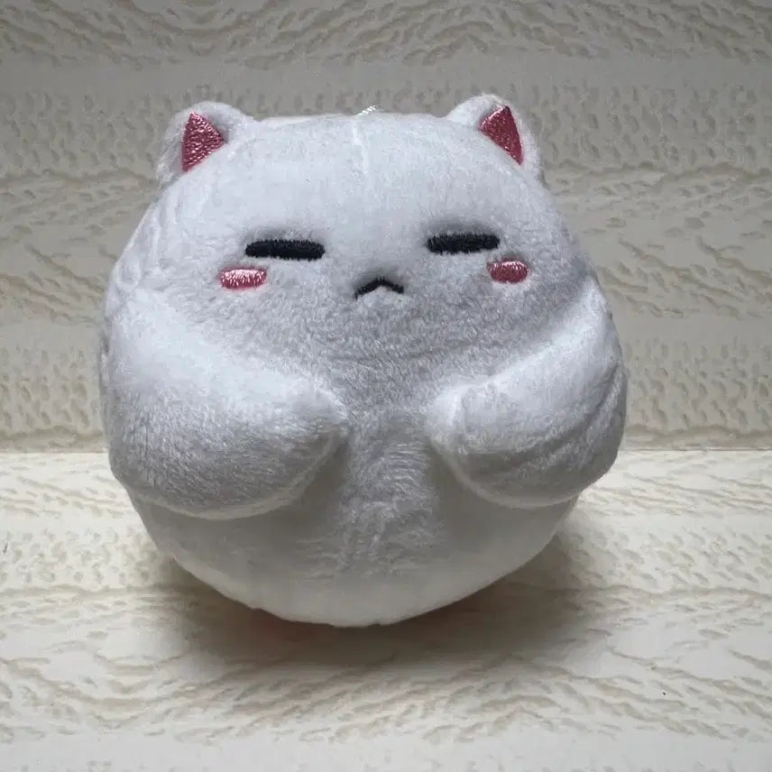 [BUNJANG] BTS SUGA Min Yoongi Tangerine Cat Plush / BTS SUGA 슈가 민윤기 귤냥이