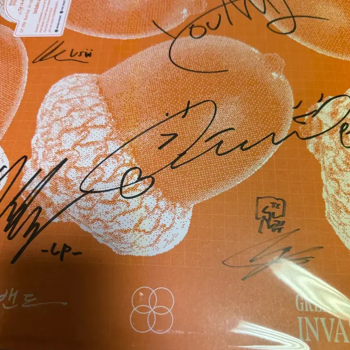 [BUNJANG] Yoo Da Bin Band GSI LP Signed Edition / 유다빈밴드 gsi lp 사인반