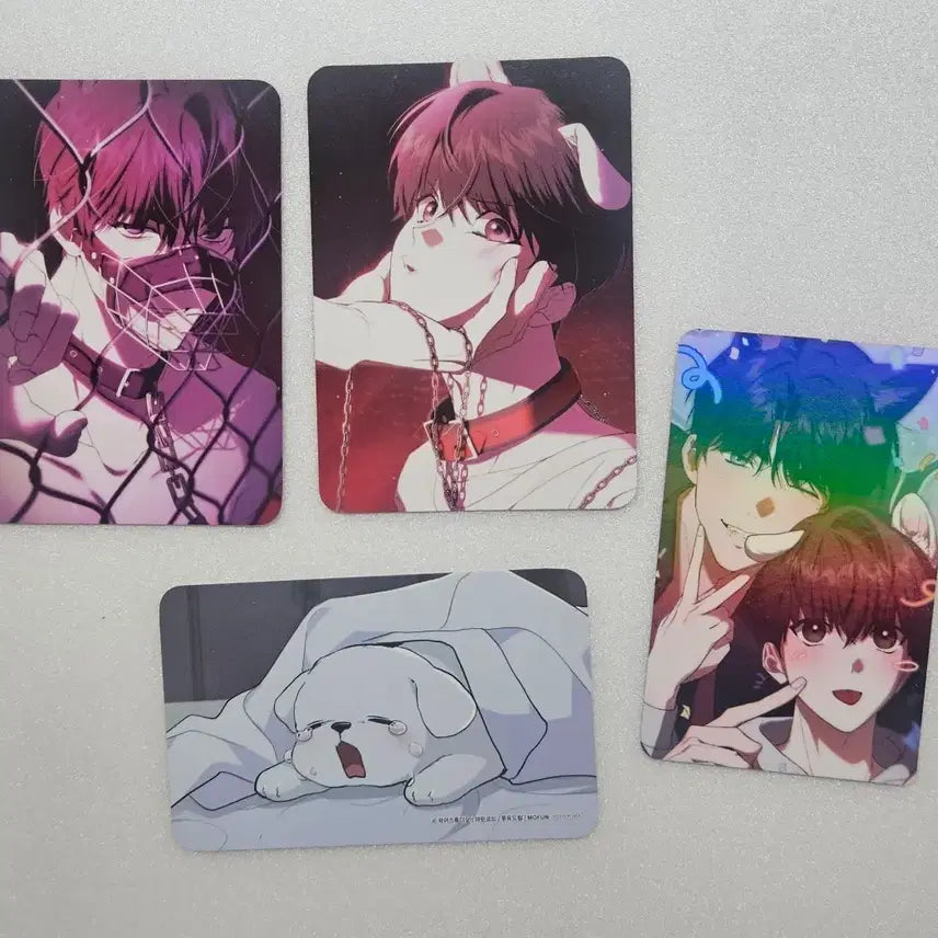 [BUNJANG] Keep The Dog Away Special Photocard / 강아지는 건드리지마라 강건마 특수 포카 포토카드 판매 합니다!