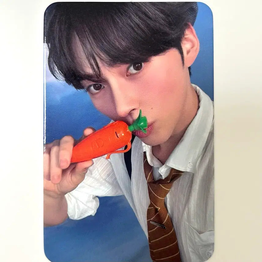 [BUNJANG] ZEROBASEONE Sung Han Bin Birthday Party Photocard / 성한빈 생일파티 역조공 포카 입장포카 당근포카 양도 제베원 미공포 장하오