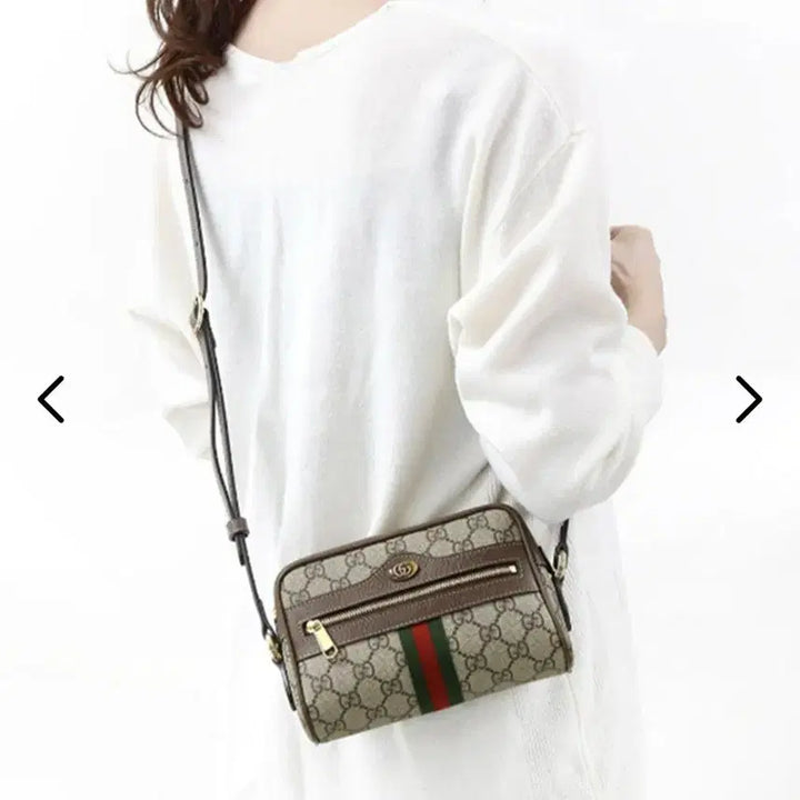 [BUNJANG] Gucci Ophidia GG Camera Bag / 구찌 오피디아 GG 카메라백