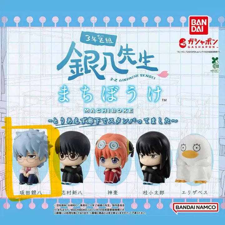 [SOLD OUT] 은혼 삼젯 긴파치 마치보우케