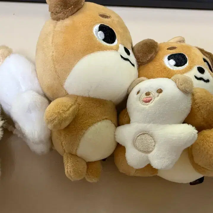 [SOLD OUT] 데니멀즈 돈 일괄